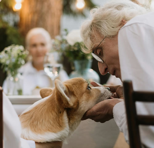 宠物经济细分深耕：银发养宠与Z世代养宠的差异化需求挖掘