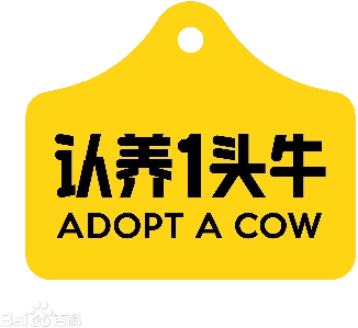 认识一头牛专业儿童牛贝贝全案